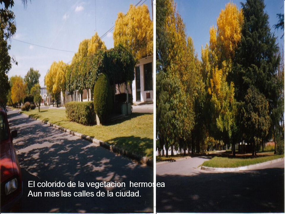 El colorido de la vegetacion hermosea