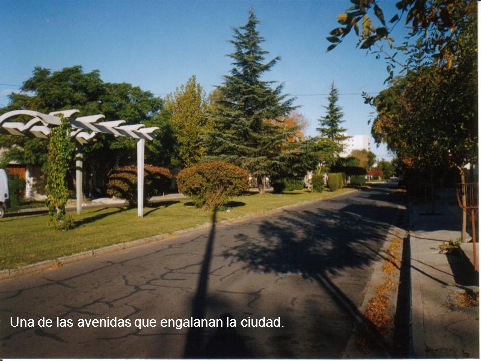 Una de las avenidas que engalanan la ciudad.