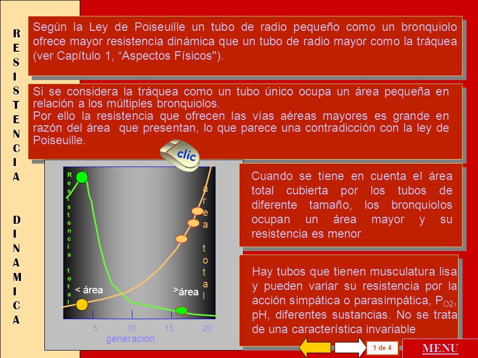 Según la Ley de Poiseuille un tubo de radio pequeño como un bronquiolo ofrece mayor resistencia dinámica que un tubo de radio mayor como la tráquea (ver Capítulo 1, Aspectos Físicos ).
