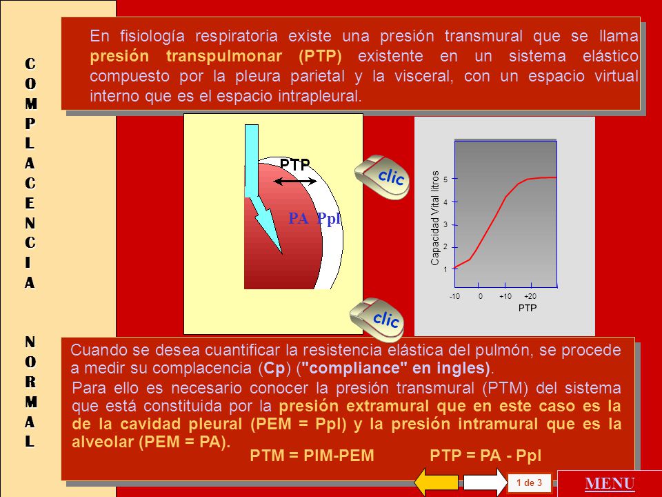 En fisiología respiratoria existe una presión transmural que se llama presión transpulmonar (PTP) existente en un sistema elástico compuesto por la pleura parietal y la visceral, con un espacio virtual interno que es el espacio intrapleural.