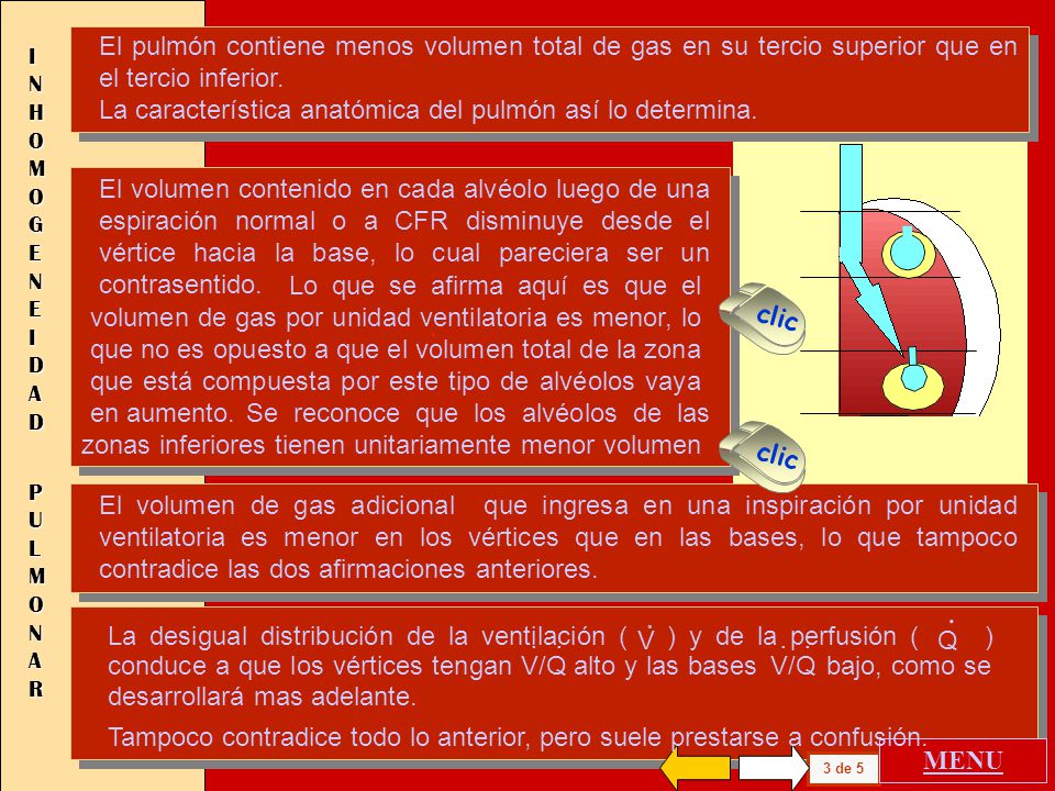 El pulmón contiene menos volumen total de gas en su tercio superior que en el tercio inferior.