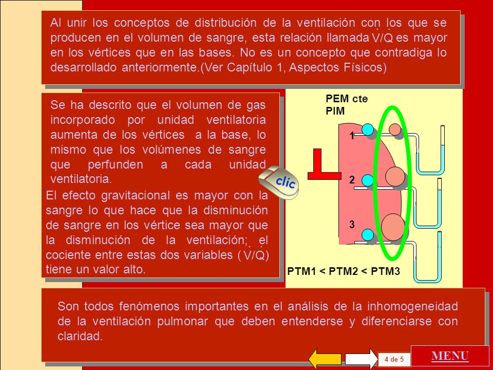 Al unir los conceptos de distribución de la ventilación con los que se producen en el volumen de sangre, esta relación llamada es mayor en los vértices que en las bases. No es un concepto que contradiga lo desarrollado anteriormente.(Ver Capítulo 1, Aspectos Físicos)