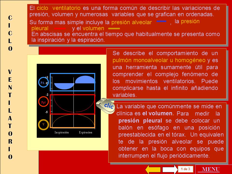 El ciclo ventilatorio es una forma común de describir las variaciones de presión, volumen y numerosas variables que se grafican en ordenadas.