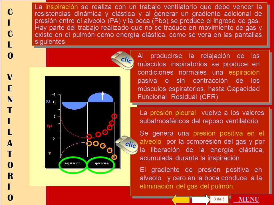 La inspiración se realiza con un trabajo ventilatorio que debe vencer la resistencias dinámica y elástica y al generar un gradiente adicional de presión entre el alveolo (PA) y la boca (Pbo) se produce el ingreso de gas.