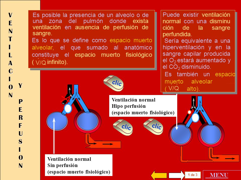 . VENTILACION . . Y PERFUSION