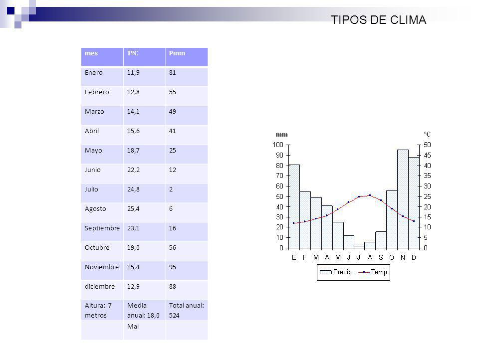 TIPOS DE CLIMA mes TºC Pmm Enero 11,9 81 Febrero 12,8 55 Marzo 14,1 49