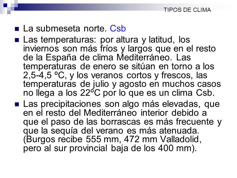 TIPOS DE CLIMA La submeseta norte. Csb.