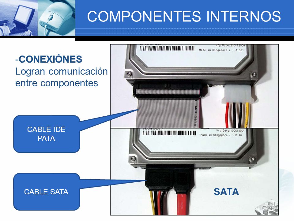 COMPONENTES INTERNOS -CONEXIÓNES Logran comunicación entre componentes