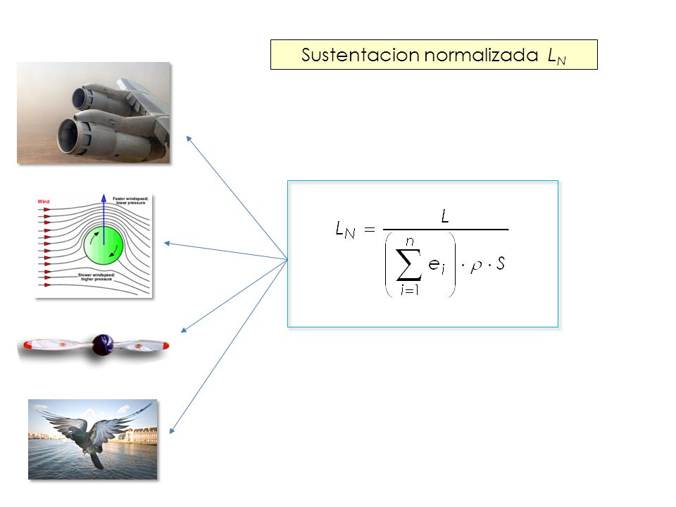 Sustentacion normalizada LN