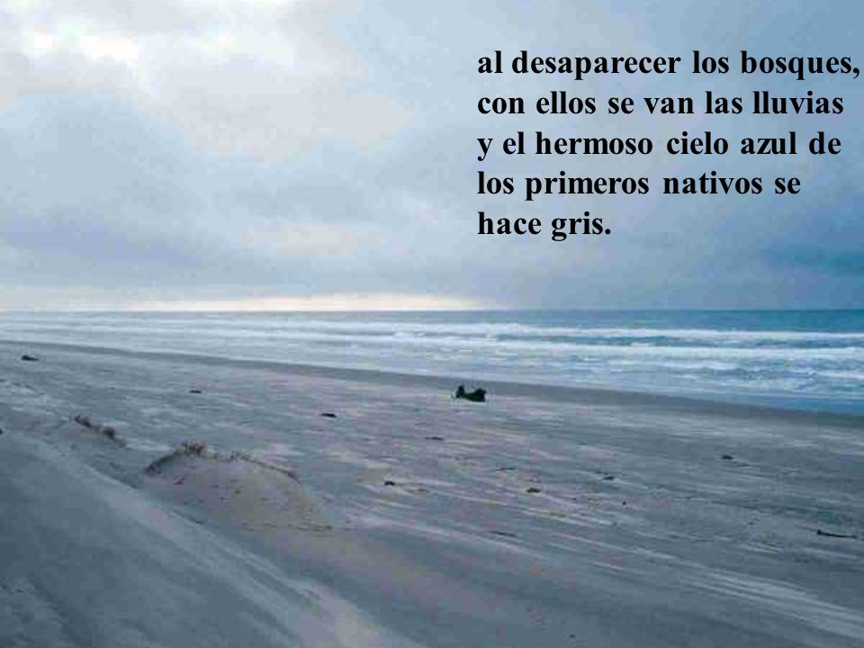 al desaparecer los bosques, con ellos se van las lluvias y el hermoso cielo azul de los primeros nativos se hace gris.