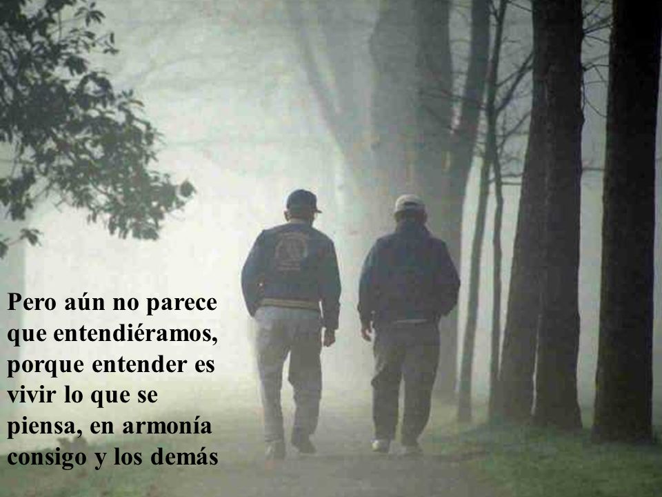 Pero aún no parece que entendiéramos, porque entender es vivir lo que se piensa, en armonía consigo y los demás