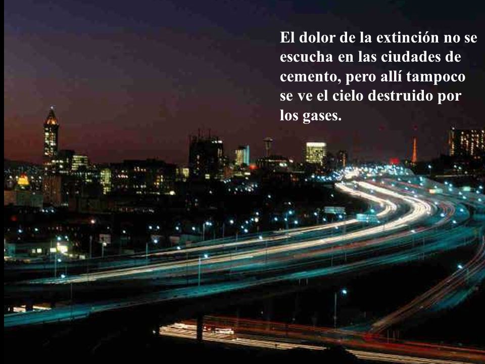 El dolor de la extinción no se escucha en las ciudades de cemento, pero allí tampoco se ve el cielo destruido por los gases.