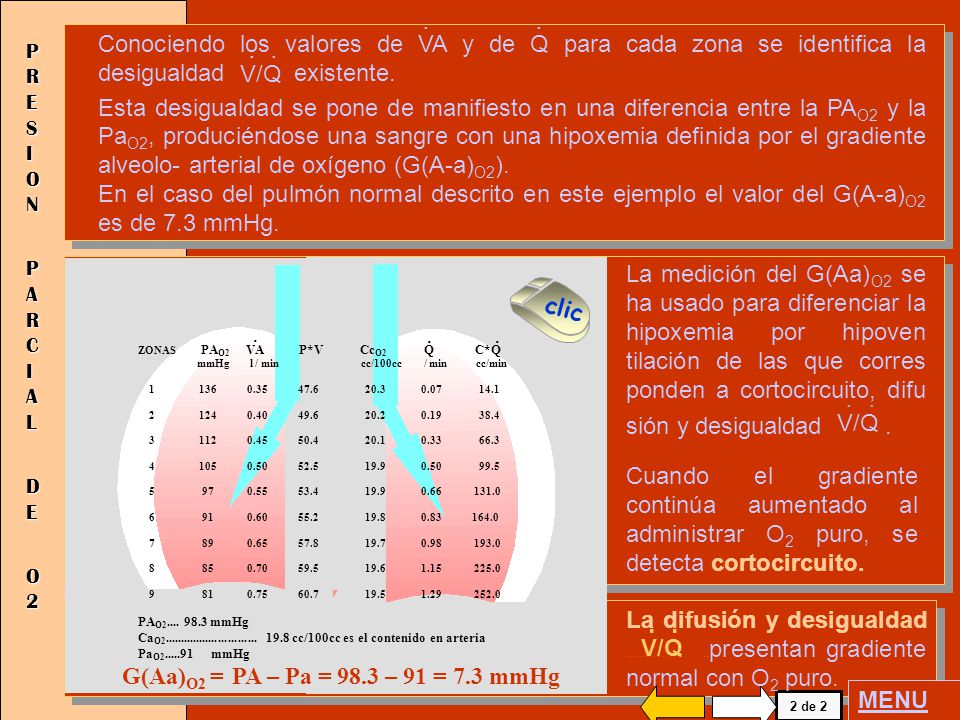 V/Q . Conociendo los valores de VA y de Q para cada zona se identifica la desigualdad existente.