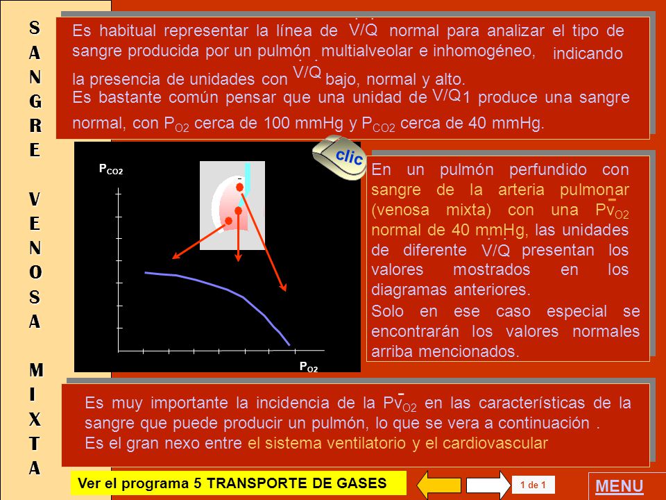 Es habitual representar la línea de normal para analizar el tipo de sangre producida por un pulmón multialveolar e inhomogéneo,