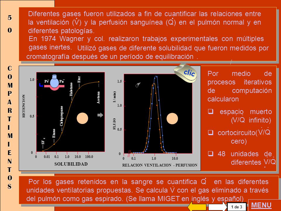 Diferentes gases fueron utilizados a fin de cuantificar las relaciones entre la ventilación (V) y la perfusión sanguínea (Q) en el pulmón normal y en diferentes patologías.