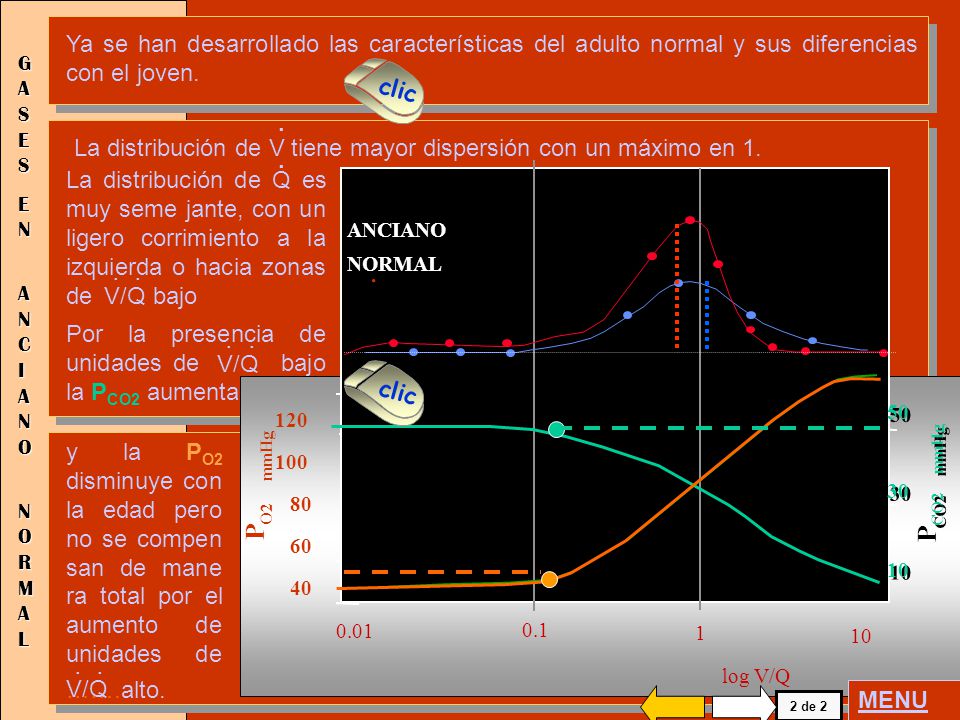 Ya se han desarrollado las características del adulto normal y sus diferencias con el joven.
