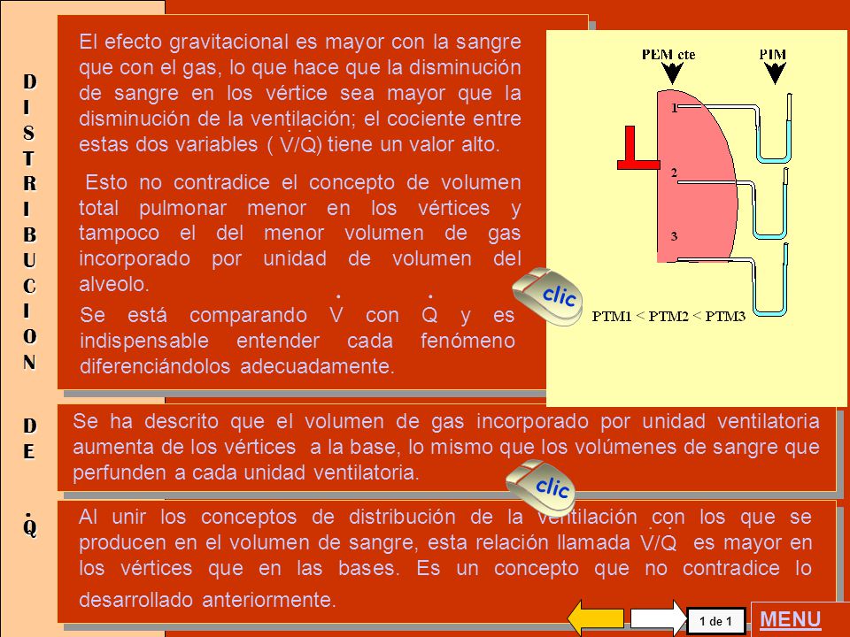 El efecto gravitacional es mayor con la sangre que con el gas, lo que hace que la disminución de sangre en los vértice sea mayor que la disminución de la ventilación; el cociente entre estas dos variables ( ) tiene un valor alto.