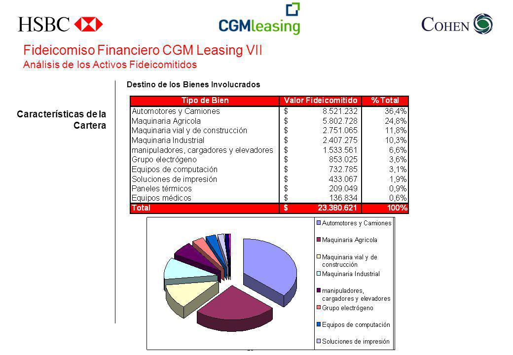 Fideicomiso Financiero CGM Leasing VII Análisis de los Activos Fideicomitidos