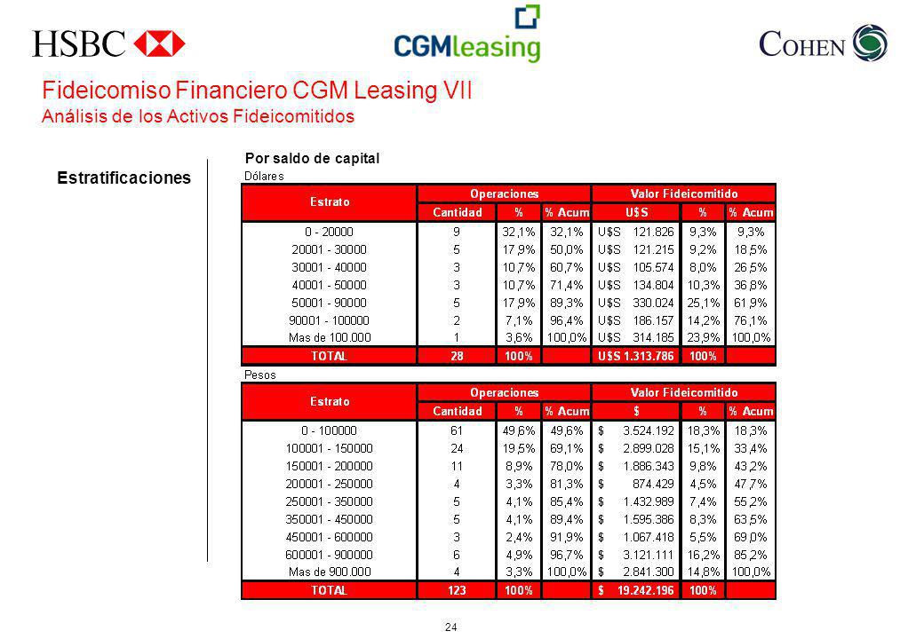 Fideicomiso Financiero CGM Leasing VII Análisis de los Activos Fideicomitidos