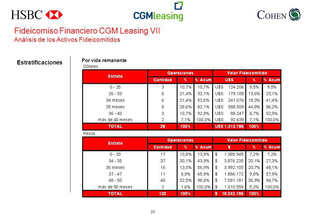 Fideicomiso Financiero CGM Leasing VII Análisis de los Activos Fideicomitidos