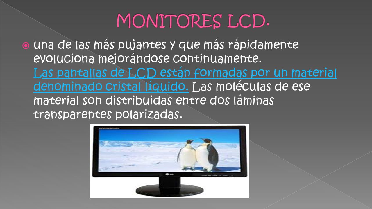 MONITORES LCD.
