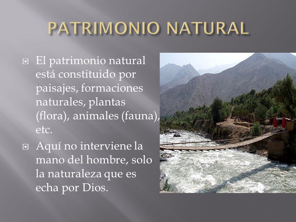 PATRIMONIO NATURAL El patrimonio natural está constituido por paisajes, formaciones naturales, plantas (flora), animales (fauna), etc.