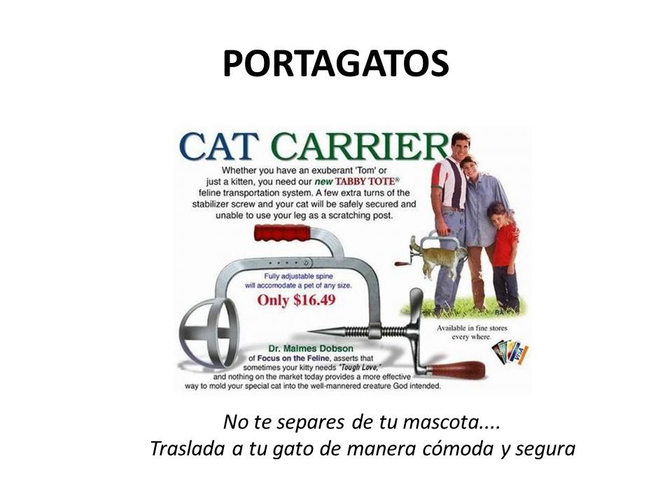PORTAGATOS No te separes de tu mascota....