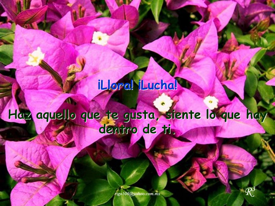 Haz aquello que te gusta, siente lo que hay dentro de ti.