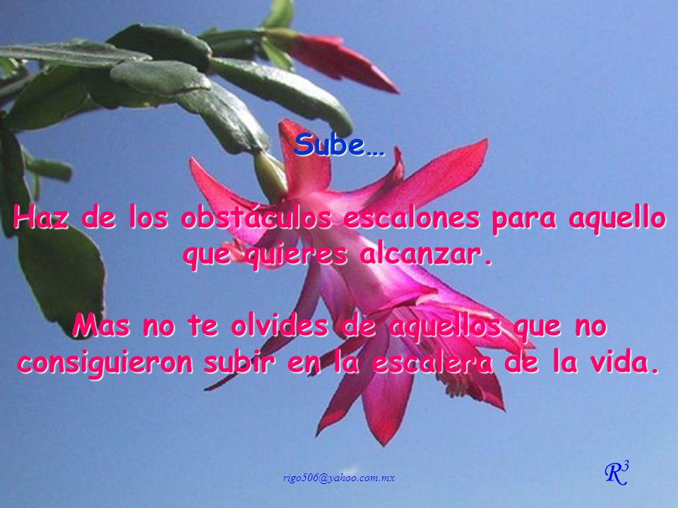 Haz de los obstáculos escalones para aquello que quieres alcanzar.