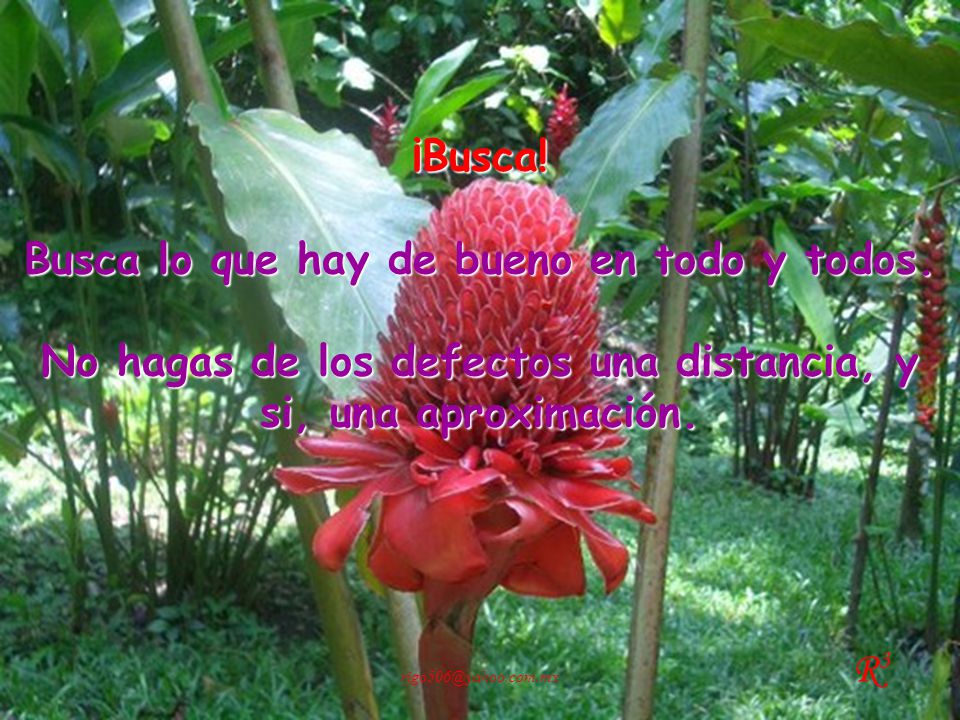 Busca lo que hay de bueno en todo y todos.