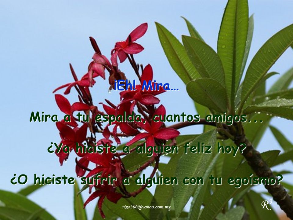 Mira a tu espalda, cuantos amigos... ¿Ya hiciste a alguien feliz hoy