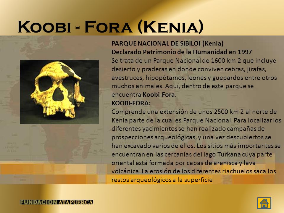 Koobi - Fora (Kenia) PARQUE NACIONAL DE SIBILOI (Kenia)