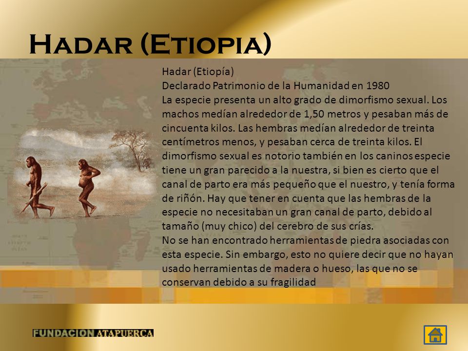 Hadar (Etiopia) Hadar (Etiopía) Declarado Patrimonio de la Humanidad en