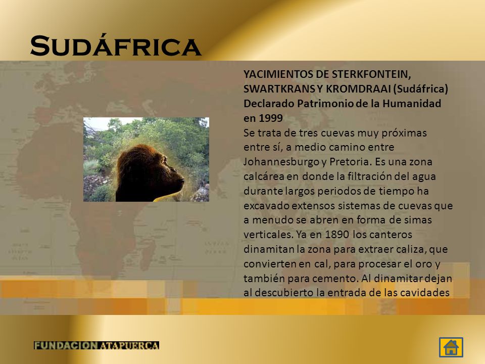Sudáfrica YACIMIENTOS DE STERKFONTEIN, SWARTKRANS Y KROMDRAAI (Sudáfrica) Declarado Patrimonio de la Humanidad en