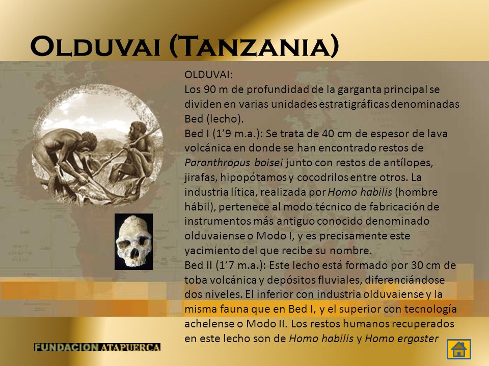 Olduvai (Tanzania) OLDUVAI: Los 90 m de profundidad de la garganta principal se dividen en varias unidades estratigráficas denominadas Bed (lecho).