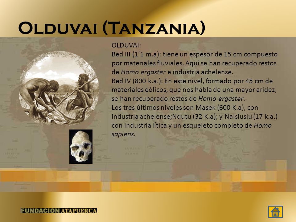 Olduvai (Tanzania)
