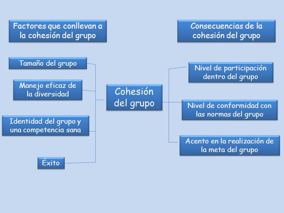 Cohesión del grupo Factores que conllevan a la cohesión del grupo