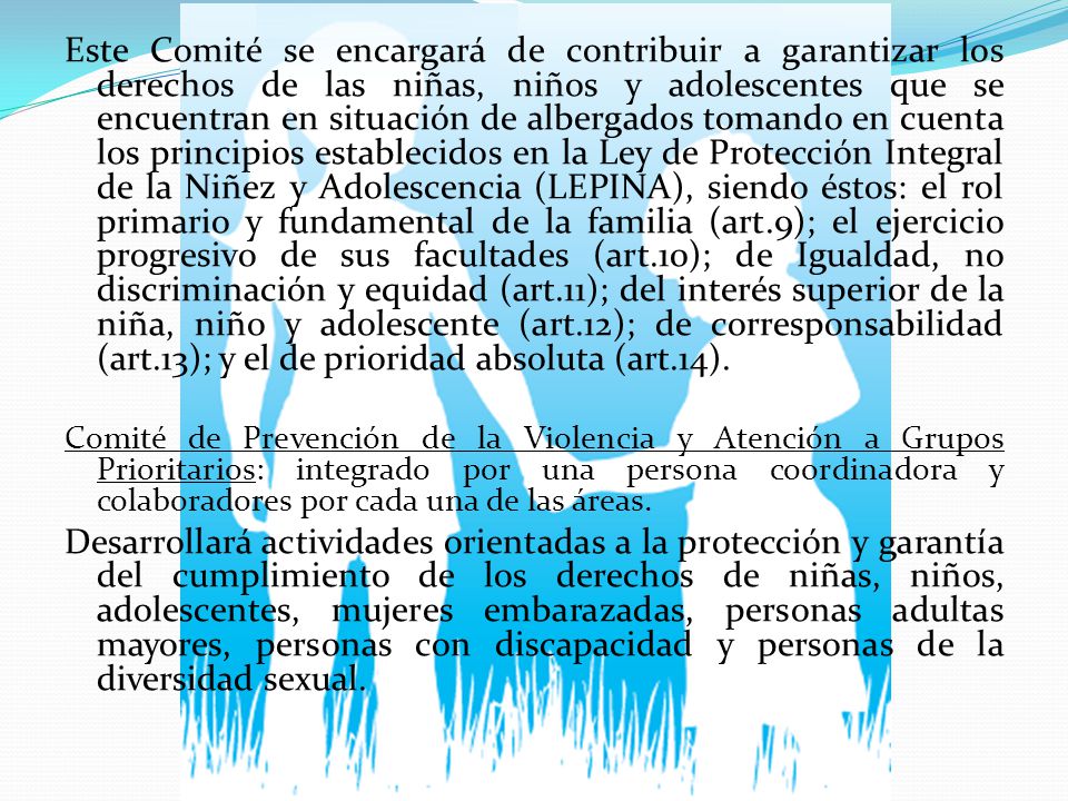 Este Comité se encargará de contribuir a garantizar los derechos de las niñas, niños y adolescentes que se encuentran en situación de albergados tomando en cuenta los principios establecidos en la Ley de Protección Integral de la Niñez y Adolescencia (LEPINA), siendo éstos: el rol primario y fundamental de la familia (art.9); el ejercicio progresivo de sus facultades (art.10); de Igualdad, no discriminación y equidad (art.11); del interés superior de la niña, niño y adolescente (art.12); de corresponsabilidad (art.13); y el de prioridad absoluta (art.14).