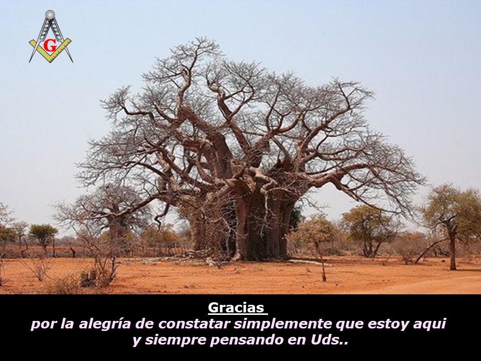 por la alegría de constatar simplemente que estoy aqui