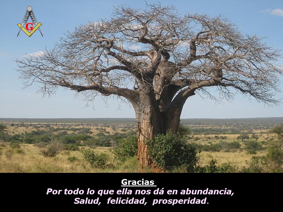 Por todo lo que ella nos dá en abundancia,