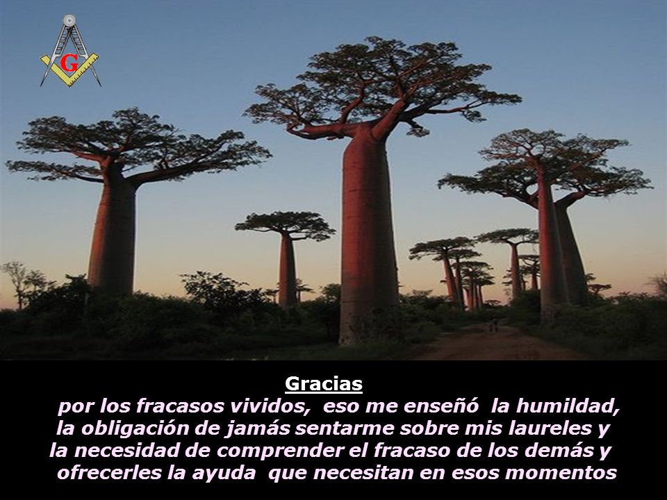 por los fracasos vividos, eso me enseñó la humildad,