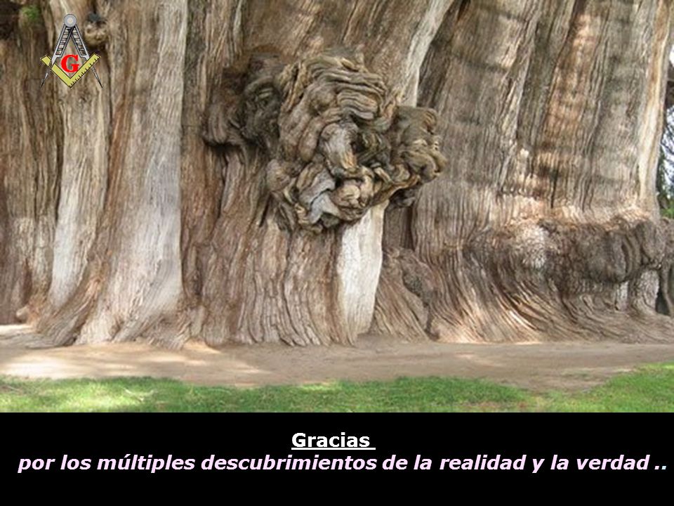 por los múltiples descubrimientos de la realidad y la verdad ..