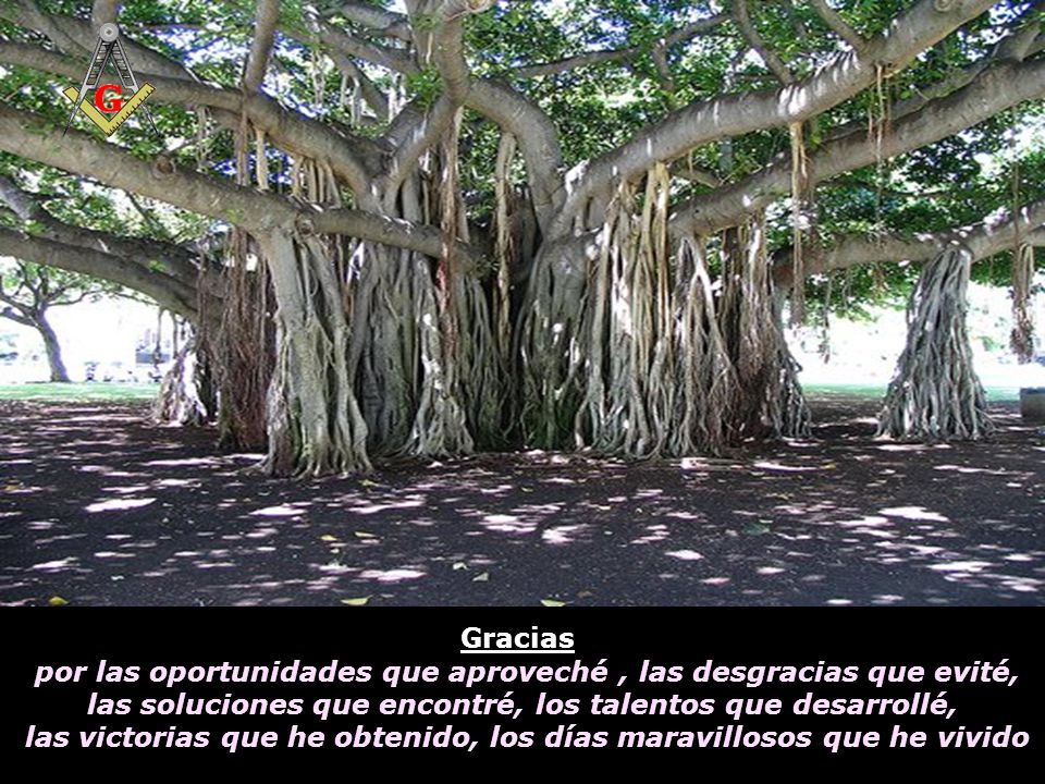por las oportunidades que aproveché , las desgracias que evité,