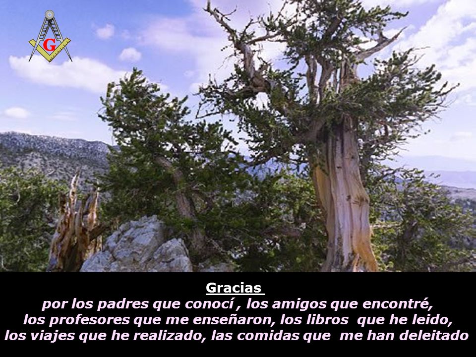 por los padres que conocí , los amigos que encontré,