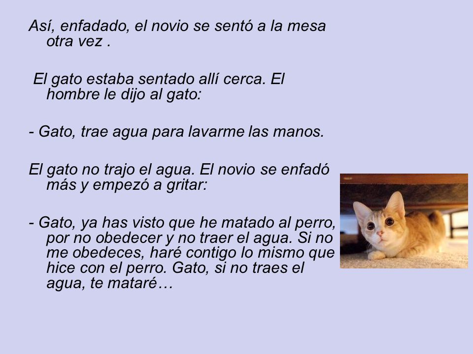Así, enfadado, el novio se sentó a la mesa otra vez .
