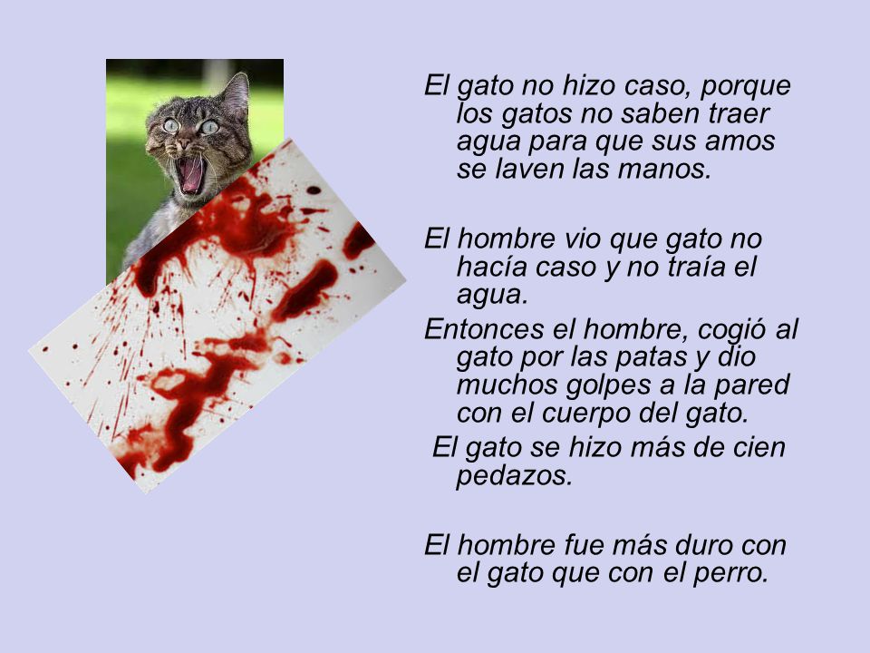 El gato no hizo caso, porque los gatos no saben traer agua para que sus amos se laven las manos.