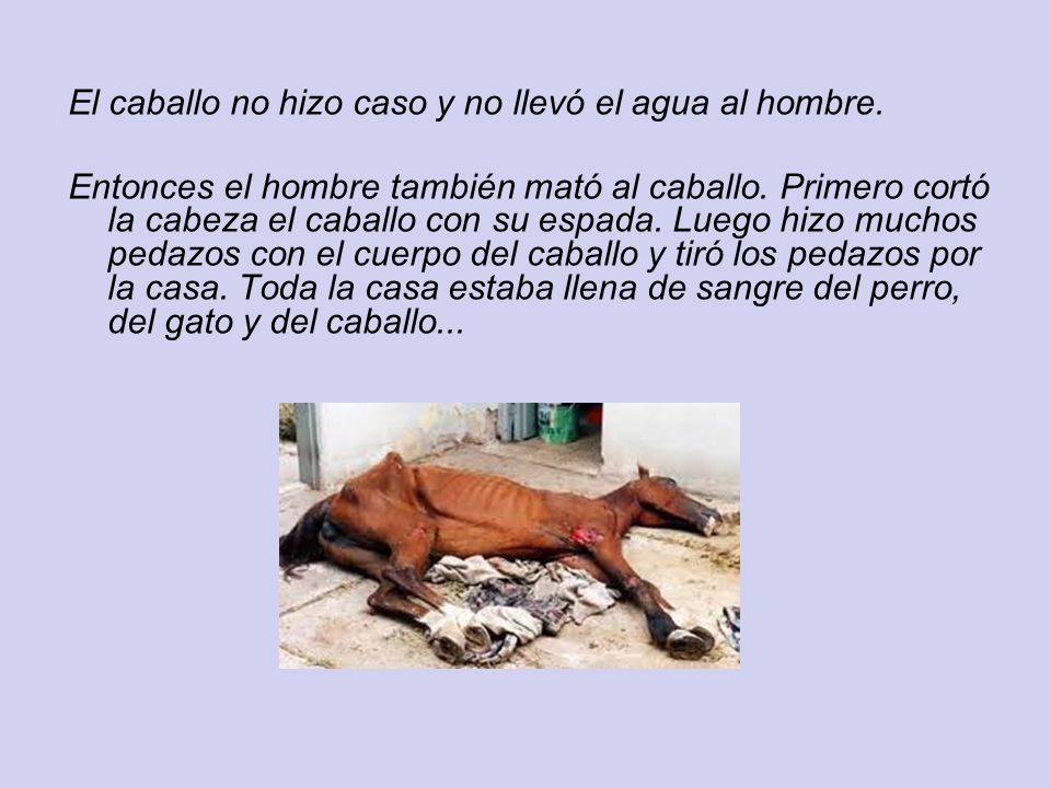 El caballo no hizo caso y no llevó el agua al hombre.