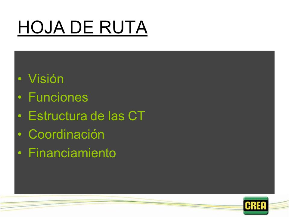 HOJA DE RUTA Visión Funciones Estructura de las CT Coordinación