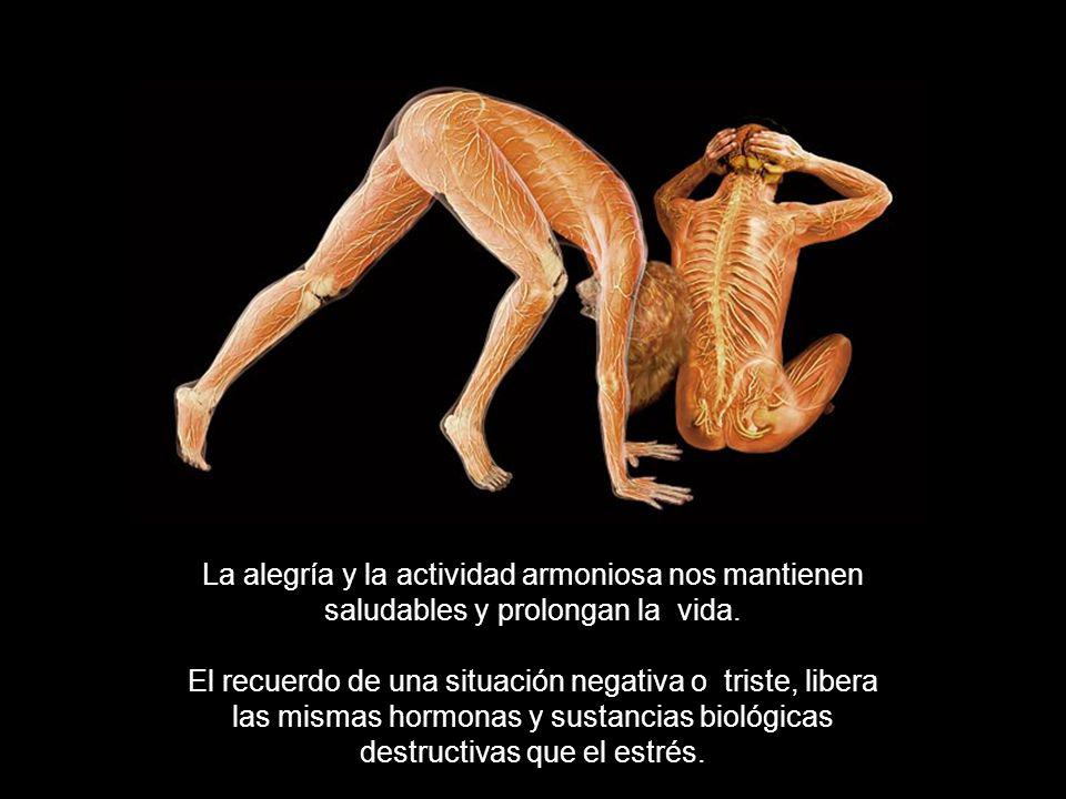 La alegría y la actividad armoniosa nos mantienen saludables y prolongan la vida.