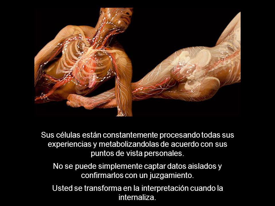 Usted se transforma en la interpretación cuando la internaliza.